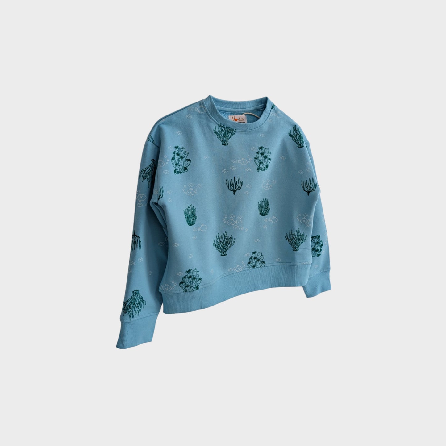 Organic Cotton Sweatshirt - Underwater Wonder