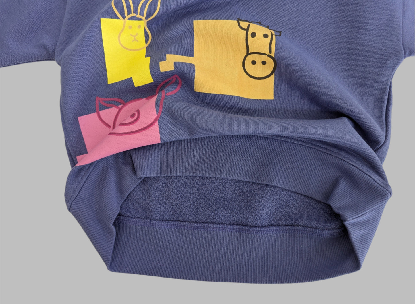 Organic Cotton Sweatshirt - Barnyard Buddies