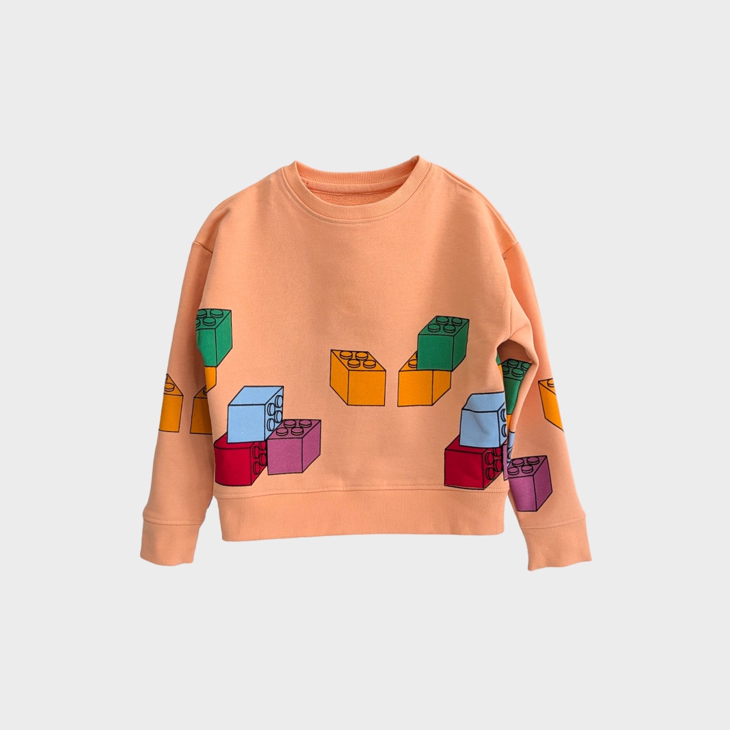 Organic Cotton Sweatshirt - Blocks imagination