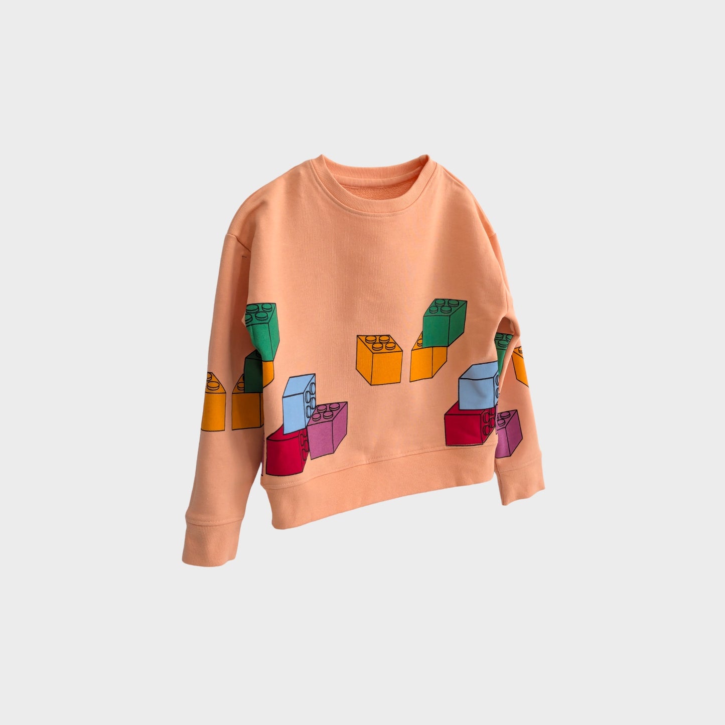 Organic Cotton Sweatshirt - Blocks imagination